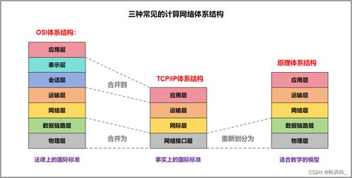 計算機網(wǎng)絡導論 探索網(wǎng)絡世界的奧秘與軟件技術開發(fā)